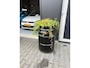 Volkswagen Golf 1.6 FSI Trendline ( ZEER NETTE AUTO )
