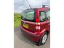 Fiat Panda 1.2 Dynamic AUTOMAAT! NW APK & GARANTIE !