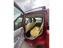Fiat Panda 1.2 Dynamic AUTOMAAT! NW APK & GARANTIE !