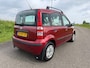 Fiat Panda 1.2 Dynamic AUTOMAAT! NW APK & GARANTIE !