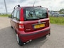 Fiat Panda 1.2 Dynamic AUTOMAAT! NW APK & GARANTIE !