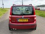 Fiat Panda 1.2 Dynamic AUTOMAAT! NW APK & GARANTIE !