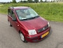 Fiat Panda 1.2 Dynamic AUTOMAAT! NW APK & GARANTIE !