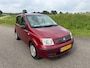 Fiat Panda 1.2 Dynamic AUTOMAAT! NW APK & GARANTIE !