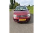 Fiat Panda 1.2 Dynamic AUTOMAAT! NW APK & GARANTIE !