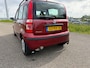 Fiat Panda 1.2 Dynamic AUTOMAAT! NW APK & GARANTIE !
