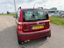 Fiat Panda 1.2 Dynamic AUTOMAAT! NW APK & GARANTIE !
