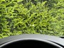Mazda 3 2.0 e-SkyActiv-X M Hybrid 180 Luxury, BOSE SOUND, NAVIGATIE, KEYLESS, CRUISE CONTROL, CLIMATE CONTROL, STOEL/STUURVERWARMING, LED, DAB, PDC, LICHTMETAAL 18"