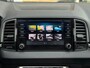 Skoda Karoq 1.0 TSI BUSINESS ED. PLUS HALF LEDER/PANODAK/LED/CARPLAY