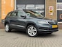 Skoda Karoq 1.0 TSI BUSINESS ED. PLUS HALF LEDER/PANODAK/LED/CARPLAY