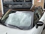 MINI Mini Electric SE BUSINESS EDITION 33 KWh LEER/SPORTST./LED.NL-AUTO/1E EIG./SOH100%