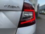 Skoda Fabia 1.0 TSI Business Edition I Navigatie I Cruise contr. I Climate contr. I PDC