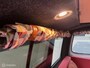 Volkswagen Camper Nevada Buscamper