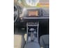 Skoda Karoq 1.5 TSI AUTOMAAT, Business Edition... inklapbare TREKHAAK