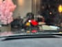 Lamborghini Urus 4.0 V8|MANSORY|HEADSUP|PANO|CARBON|23''
