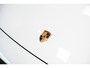 Porsche 911 3.0 Carrera T *FACELIFT / BOSE / Schuifdak / Sportuitlaat / Vierwiel-besturing / Achterlicht Exclusiv / Interieur-pakket: Carrera T*