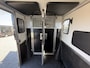 MAN TGE | HORSETRUCK | KRISMAR | STALLION 3XXL | 2024 | AUTOMAAT | HENGST | 13.330KM | 180PK | L4 | 3-SEAT | NL KENTEKEN
