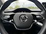 Skoda Enyaq iV 80 | Camera | 20 Inch | NL-Auto |