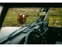 Land Rover Defender 110 Crew Cab TROPHY 2 Works V8 | 1 of 4 LHD Defender Trophy 2 Crew Cab | WARN |