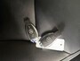 Mercedes-Benz A-klasse 180 Prestige | Leder | Carplay | Trekhaak | Volledig onderhouden | Camera |