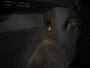 Volkswagen Golf 1.5 eTSI |Cam|ACC|Sfeerverlichting|Trekhaak|