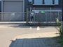 Volvo XC60 2.0 T8 Plug-in hybrid AWD Ultra Black Edition | Luchtvering | Trekhaak | 360 camera | Sportstoelen |