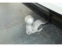 Volvo XC60 B5 Plus Dark | Semi Electrische Bedienbare Trekhaak | 1ste Eigenaar | Harman Kardon Premium Audio | Panoramadak | 20'' Lichtmetalen velgen | Elektrisch glazen schuifdak | Parkeercamera | Parkeersensoren voor + achter | Nappa Lederen bekleding |