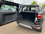 Ford EcoSport 1.0 EcoBoost Titanium | CRUISE CONTROL | CLIMATE CONTROL | HALF LEDER | WINTERSET | 16 INCH LMV | BLUETOOTH |