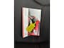 Citroën C1 1.0-12V 5Drs Airco Ambiance Privacy Glas Stuurbekrachtiging