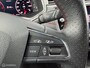SEAT Ibiza 1.0 TSI FR Business Intense | Beats | Virtu | Cam