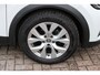 Renault Captur 1.0 TCe 90 Business Zen//Navi//Trekhaak!!