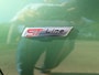 Ford Kuga 2.5 PHEV ST-Line X * WINTERPAKKET * ELEKTRISCHE TREKHAAK * AGR *
