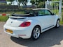 Volkswagen Beetle Cabriolet 2.0 TSI 200PK Sport DSG Xenon El Kap Navi LM