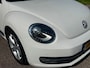 Volkswagen Beetle Cabriolet 2.0 TSI 200PK Sport DSG Xenon El Kap Navi LM