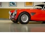 Austin Healey 3000 - MK I volledig Rally opgebouwd, FIVA Approved