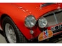 Austin Healey 3000 - MK I volledig Rally opgebouwd, FIVA Approved