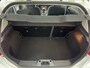 Ford Fiesta 1.25 Trend / NETTE AUTO / NIEUWE APK / RIJDT SCHAKELT GOED