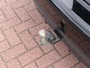BMW 5-Serie 530i High Executive | BTW | Elc trekhaak | Dealer onderhouden