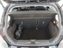 Ford Fiesta 1.0 EcoBoost Titanium | 72.000 KM | Winter Pack | Cruise Control | WORDT VERWACHT!