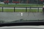 CUPRA Terramar VZ Performance 1.5 e-Hybrid 272pk /Panodak /Trekhaak /20 inch/Head-Up/Leer/Sennheiser/360gr camera