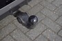 CUPRA Terramar VZ Performance 1.5 e-Hybrid 272pk /Panodak /Trekhaak /20 inch/Head-Up/Leer/Sennheiser/360gr camera