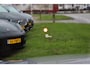Audi Q5 2.0 TFSI Quattro Sport|Pano|Luchtvering|HUD|B&O|Virtual|ACC|Keyless|Sfeer