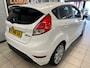 Ford Fiesta 1.0 EcoBoost Hot Hatch |NW APK| 101pk |5 deurs|