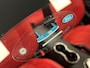 Ford Mustang Convertible 5.0i V8 GT Premium 450PK Automaat Performance Package Brembo Magneride