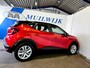 Renault Captur 1.0 TCe 90 Business Zen / Camera / Navi / NL Auto