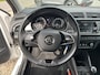 Skoda Fabia Combi 1.0 TSI Bus. Edition Carplay/Climate-Control