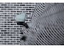 Volvo EX90 Single Motor Plus 92 kWh | Adaptive Cruise Control | Stoelventilatie + Verwarming | Getint Glas | 360 Camera | 7 Persoons | Panoramadak | All seasonbanden |