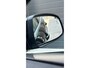 Ford Focus Wagon 125pk Titanium XENON | HALF LEDER | CLIMA | CRUISE CONTROL | CARPLAY | BLIS | STOELVERWARMING