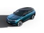 Opel Grandland Ultimate - Electric | Draadloze telefoonlader (Inductie) | Elektronische klimaatregeling met twee zones | LED dagrijverlichting