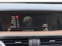 Alfa Romeo Stelvio 2.0 T AWD First Edition | Meer foto's volgen